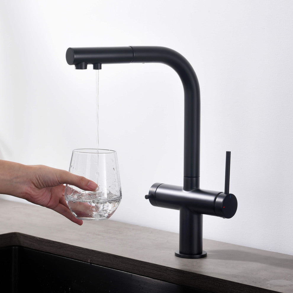 Circular 2-in-1 Water Filter Kitchen Pull Out Faucet, Matte Black