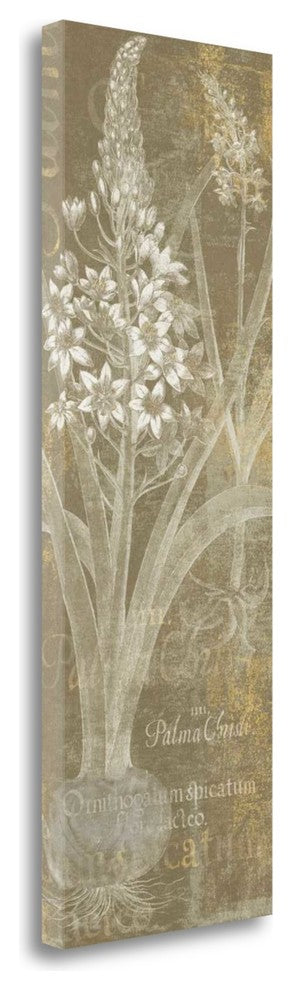 "Flower Lines II" By Sue Schlabach, Giclee Print on Gallery Wrap Canvas