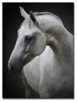 Ready2HangArt 'Maggie' Wrapped Canvas Wall Decor, 30"x40"