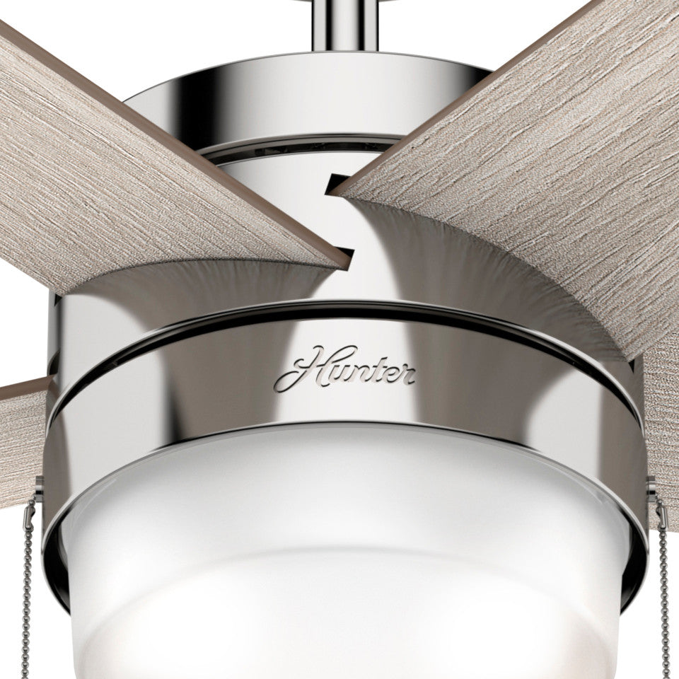 Hunter 52" Claudette Polished Nickel Ceiling Fan, LED Light Kit and Pull Chain