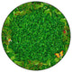 Flagship Carpets FA1361-27FS 6' Round Backyard Bugs Rug