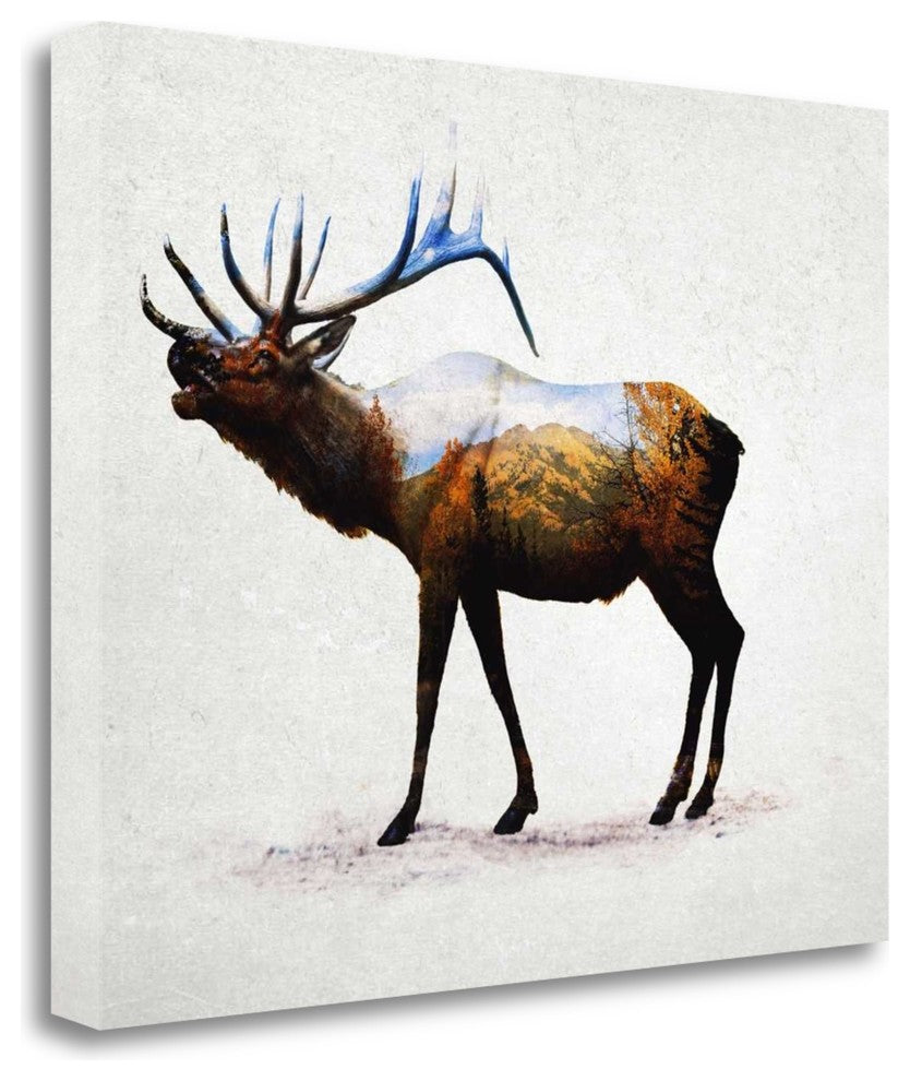 "Rocky Mountain Elk" By Davies Babies, Giclee Print on Gallery Wrap Canvas