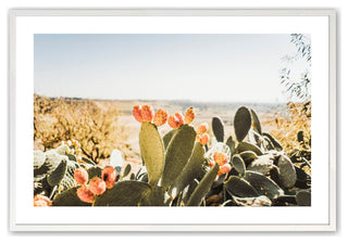 Opaque White 12" x 16" Nature's Jewels Framed Print
