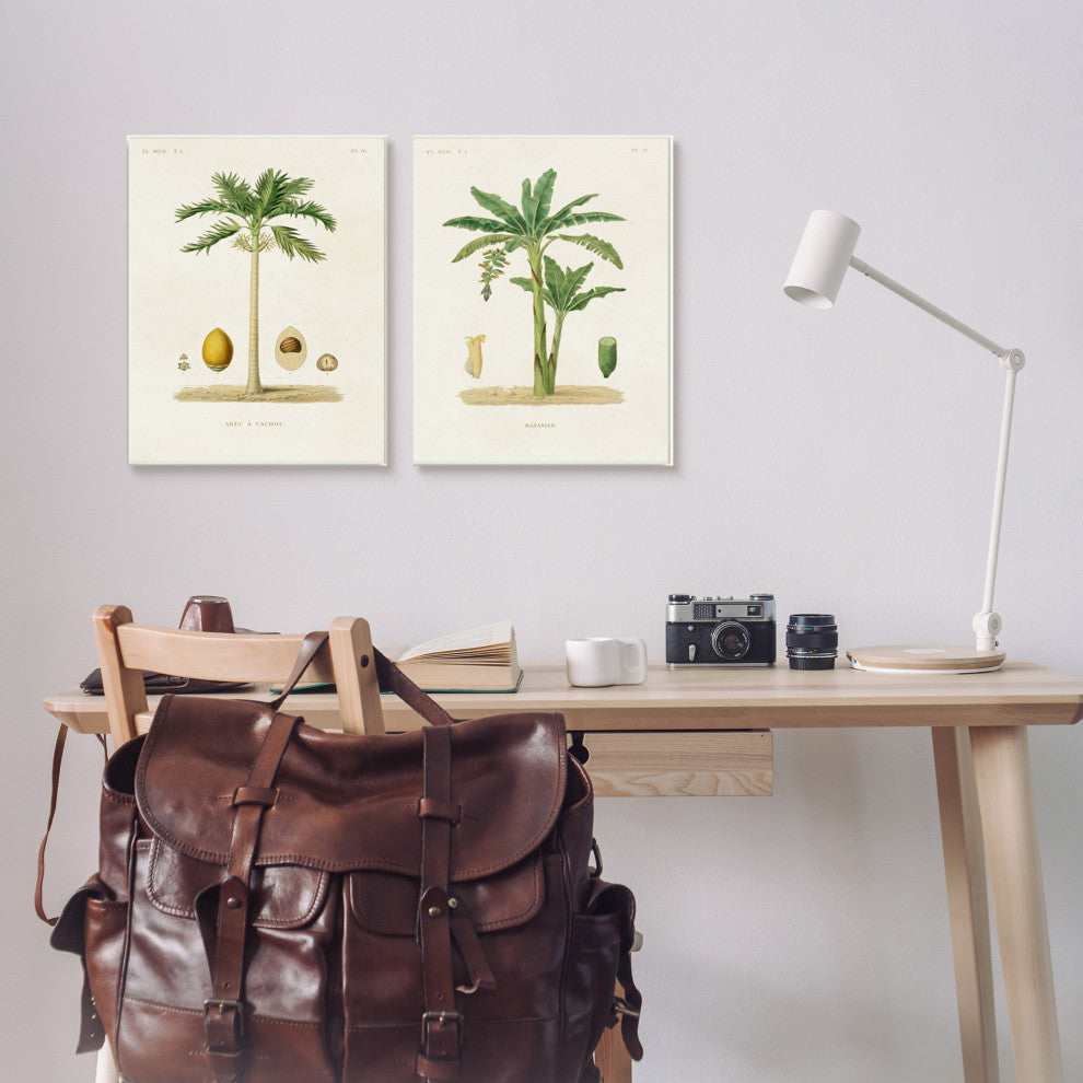 Minimal Green Palm tree Coconuts Diagram Illustration, 2pc, each 13 x 19