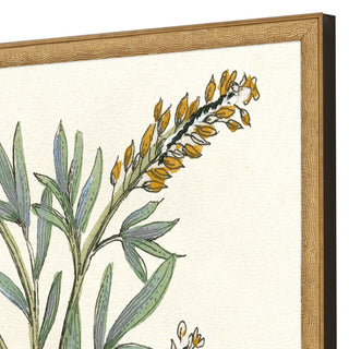 Botanical Plants III S/2