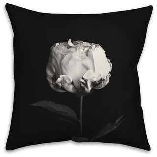 White Rose on Black Background Throw Pillow