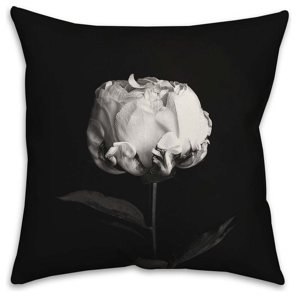 White Rose on Black Background Throw Pillow