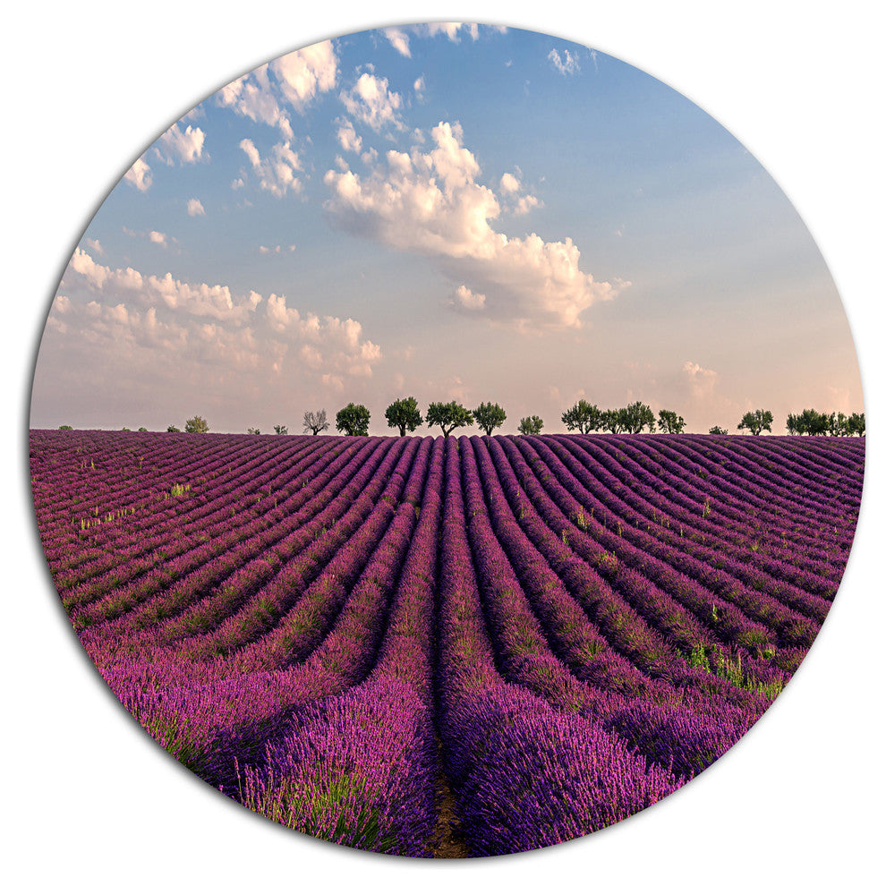 Shiny Lavender Field In Provence, Landscape Round Wall Art, 11"