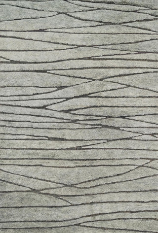 Tanzania TN-05 Mist Area Rug, 8'6"x11'6"