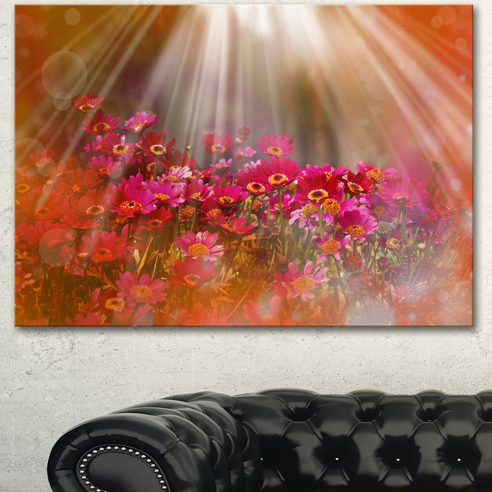 Sunlight over Garden with Flowers, Large Floral Canvas Artwork, 40"x30"