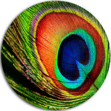 Peacock Feather, Photography Round Wall Art, 23"