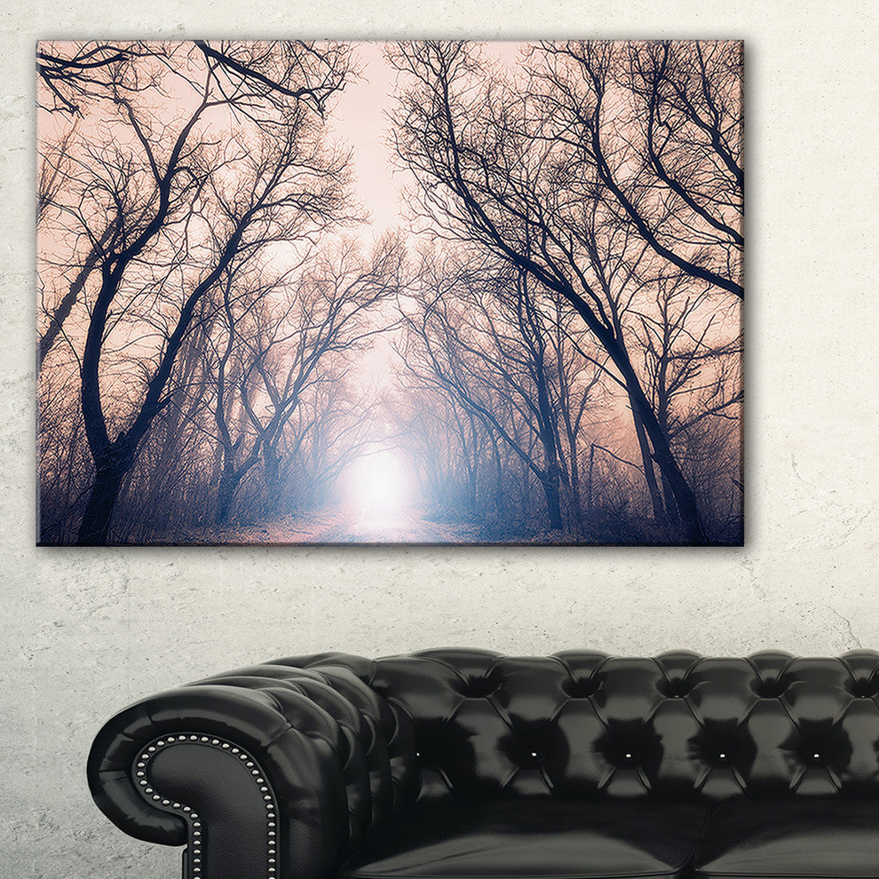 "Mysterious Sunlight in Forest" Landscape Photo Wall Art, 40"x20"