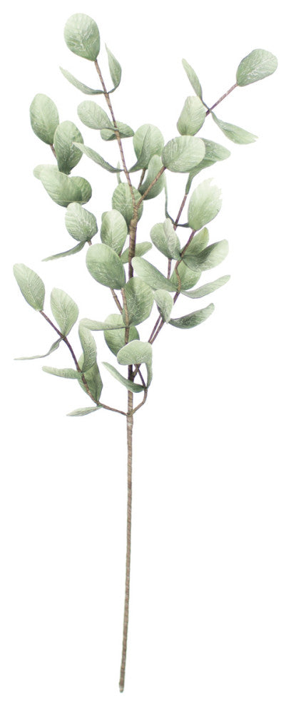 Kalalou Clx2675 Botanica #875