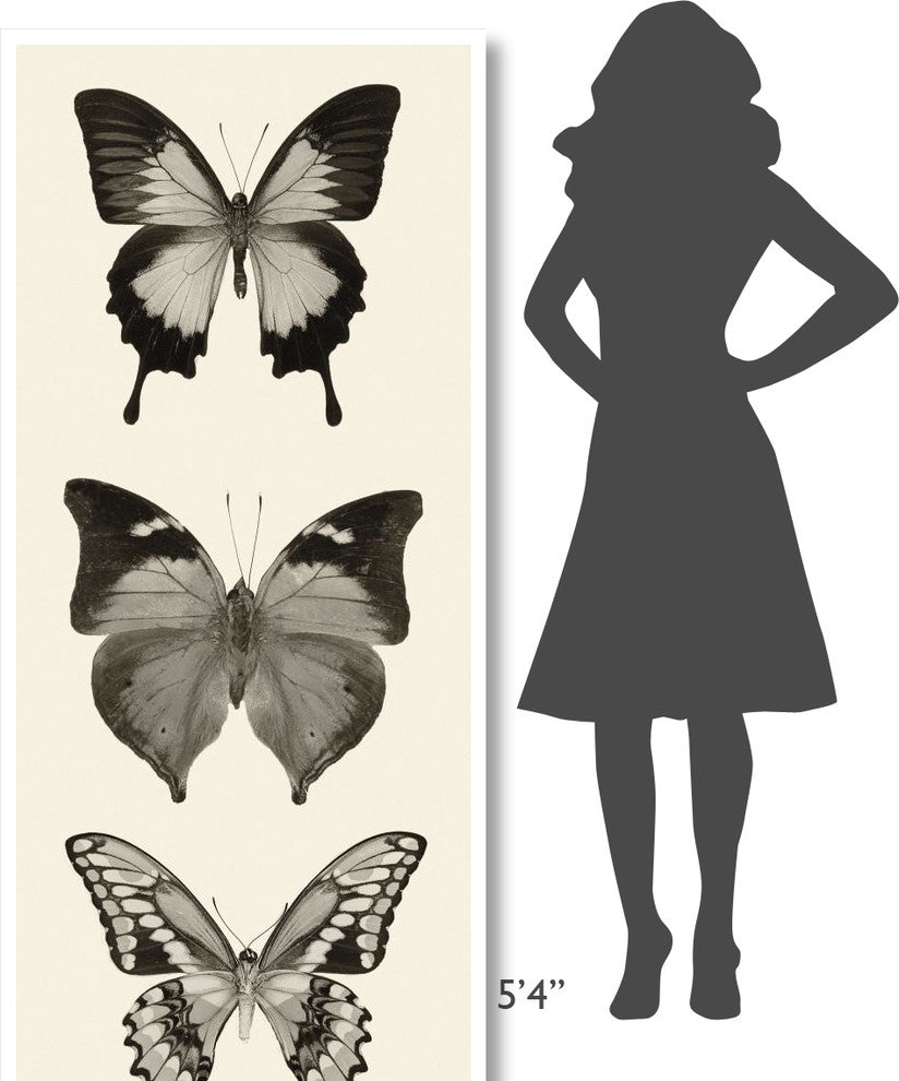 "Butterfly - BW Panel I" Digital Paper Print by Debra Van Swearingen, 32"x77"