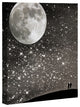 Deny Designs Shannon Clark Love Under The Stars Art Canvas