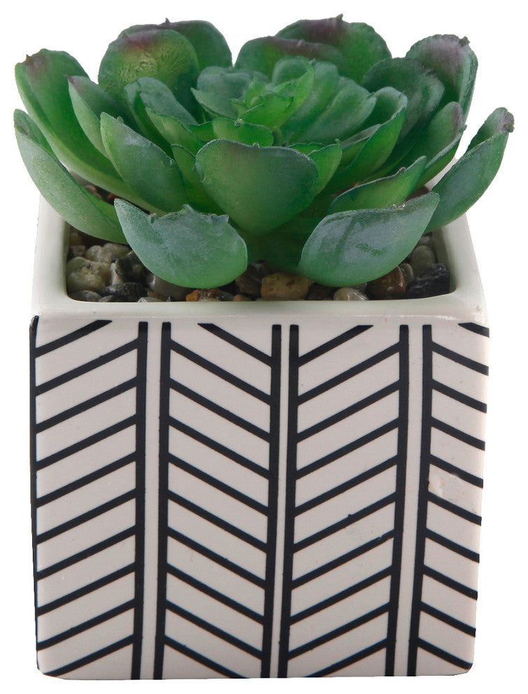 2-Piece Succulent, Tribal White Ceramic Pot Set, 4"
