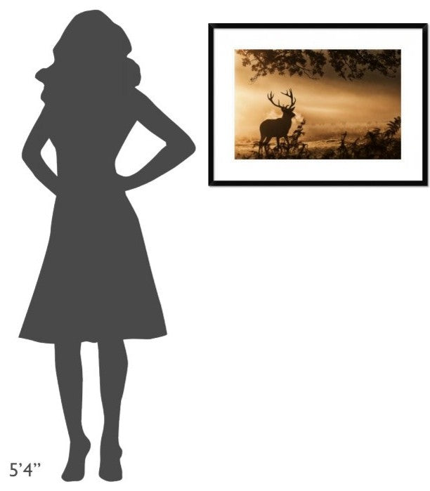 "Untitled" Framed Digital Print by Radojica Jevric Fotorax, 32x24"