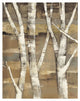 "Wandering Through the Birches I" Paper Print by Albena Hristova, 22"x26"