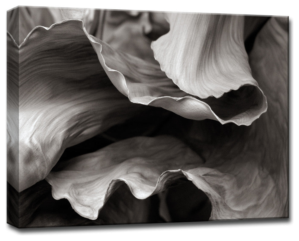 Ready2HangArt 'Banana Plant' by Bartlettayes, 20"x30"