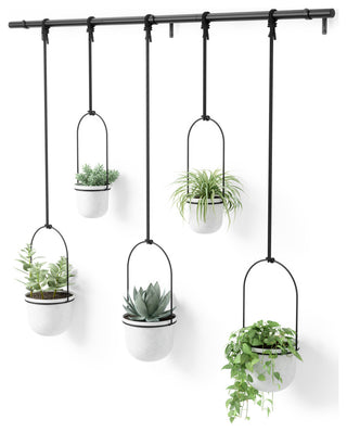 Umbra Triflora Hanging Planter, Set of 5 White