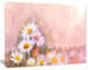 Gerbera Flowers on Soft Color Back, Floral Canvas Art Print, 20"x12"
