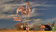 Good Directions 25" Rooster Weathervane, Polished