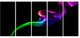 Colorful Fractal Fire Design on Black, Abstract Canvas Art, 60"x28", 5 Panels