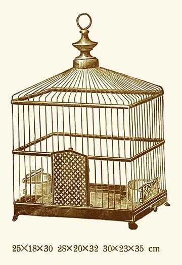 Ornate Brown Bird Cage J - Canvas Poster 20" x 30"