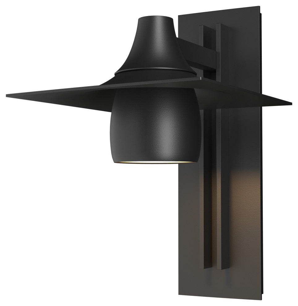 Hood Large Dark Sky Outdoor Sconce, Coastal Black Finish