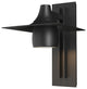 Hood Large Dark Sky Outdoor Sconce, Coastal Black Finish
