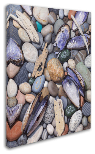 'Treasure at Muscle Beach' Canvas Art by Stephen Stavast