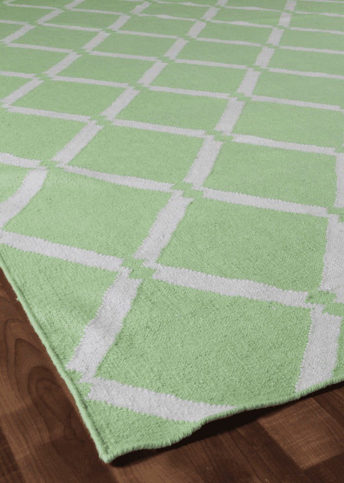 Exquisite Rugs, Flatweave, Mint, 5''x8''