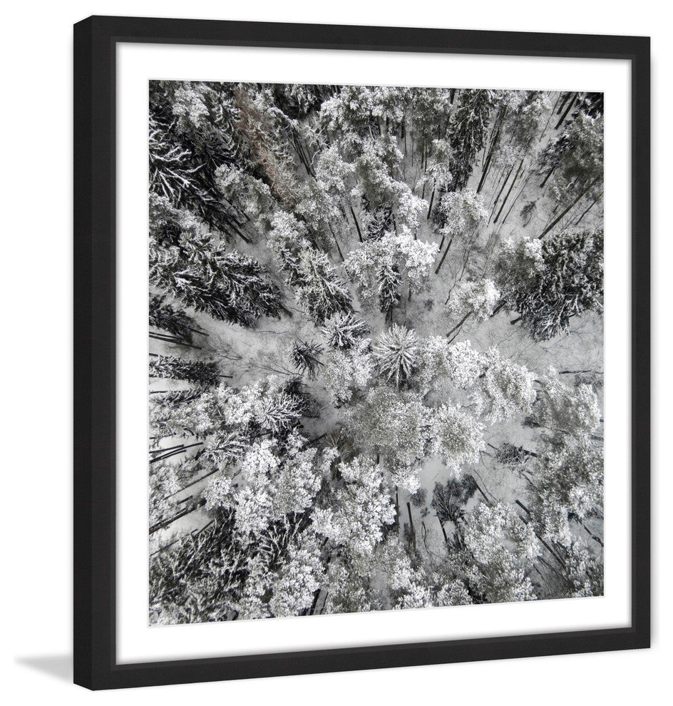 "Tall and Cold" Framed Print by Karolis Janulis