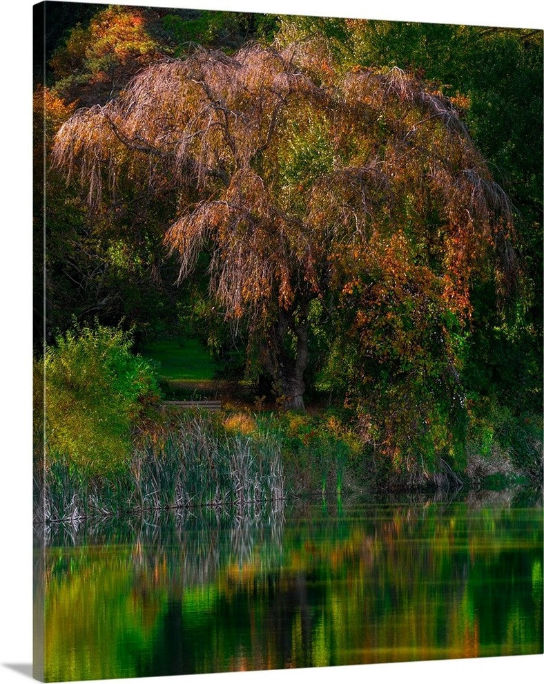 "Fall Reflection" Wrapped Canvas Art Print, 34"x40"x1.5"