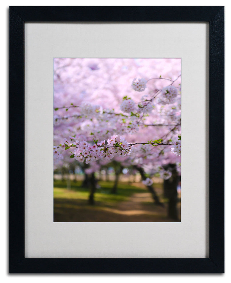 'DC 2' Matted Framed Canvas Art by CATeyes