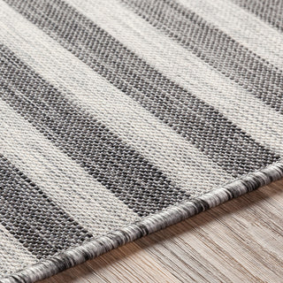 Pasadena Indoor/Outdoor Area Rug, Medium Gray, 4'3" X 5'11"
