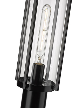 1 Light 8 in. Powder Coated Black Outdoor