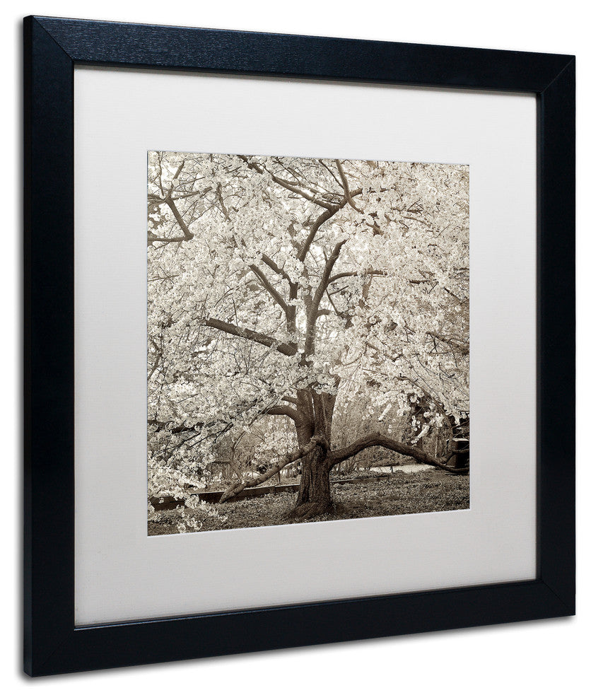 Alan Blaustein 'Hampton Magnolia II' Art, Black Frame, White Mat, 16x16