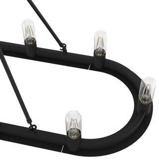 Hunter Saddlewood Natural Iron 10 Light Chandelier Ceiling Light Fixture