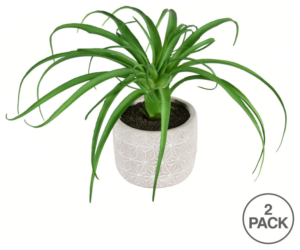 8" Artificial Green Succulent, Container, Pack of 2 , 8"