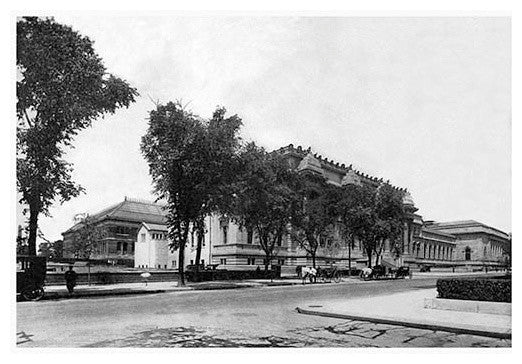 Metropolitan Museum of Art Partially Blocked by Trees on Fifth Avenue