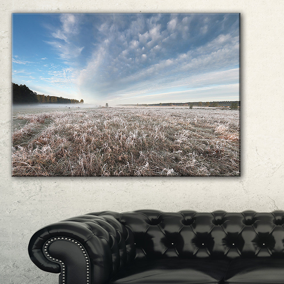 "Autumn Hoarfrost on Grass" Landscape Print Wall Artwork, 40"x30"
