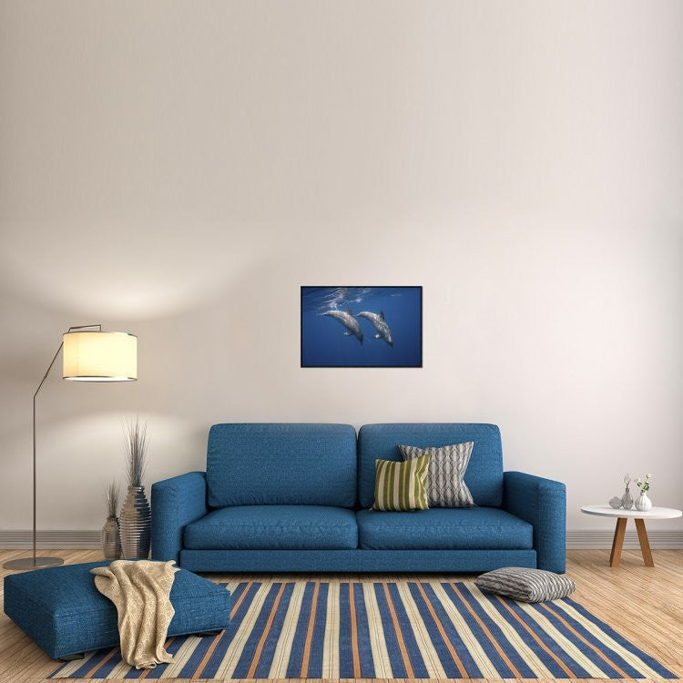 Two Bottlenose Dolphins, 30"x20"