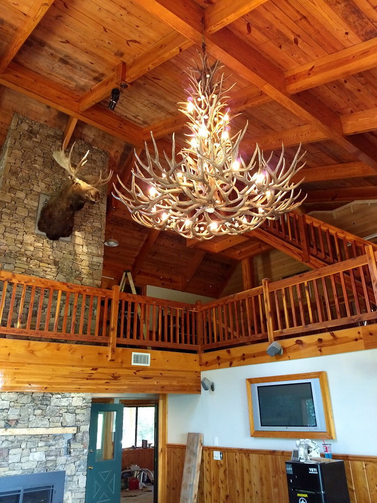 Whitetail, Mule Deer Appalachian Antler Chandelier Light, Large, Rawhide Shades