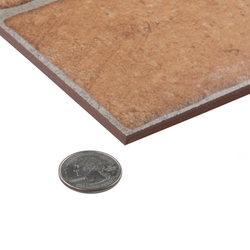 Tovar Cotto Ceramic Floor and Wall Tile