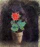 Odilon Redon Geranium, 20"x25" Wall Decal Print