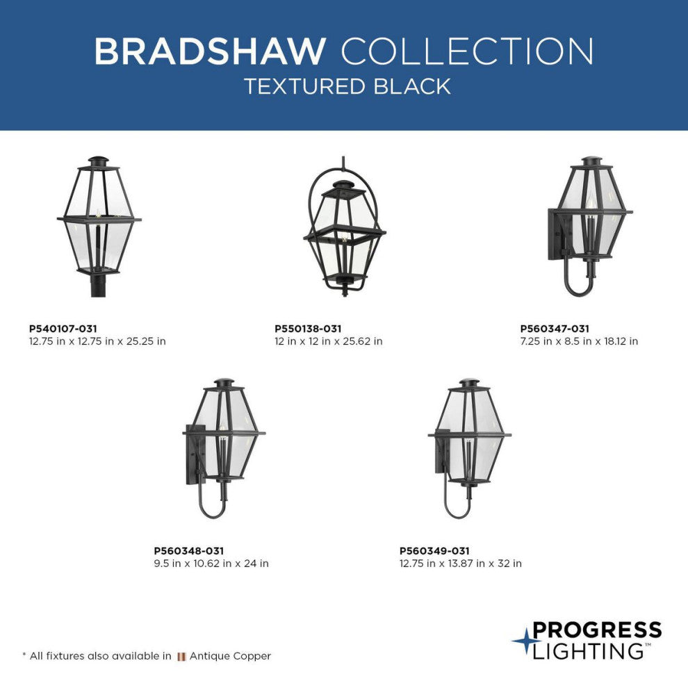 Bradshaw Collection 1-Light Textured Black Clear Glass Outdoor Hanging Lantern