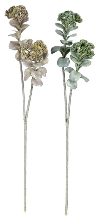 Vickerman 22" Dark Green Sedum Spray, Pack of 2