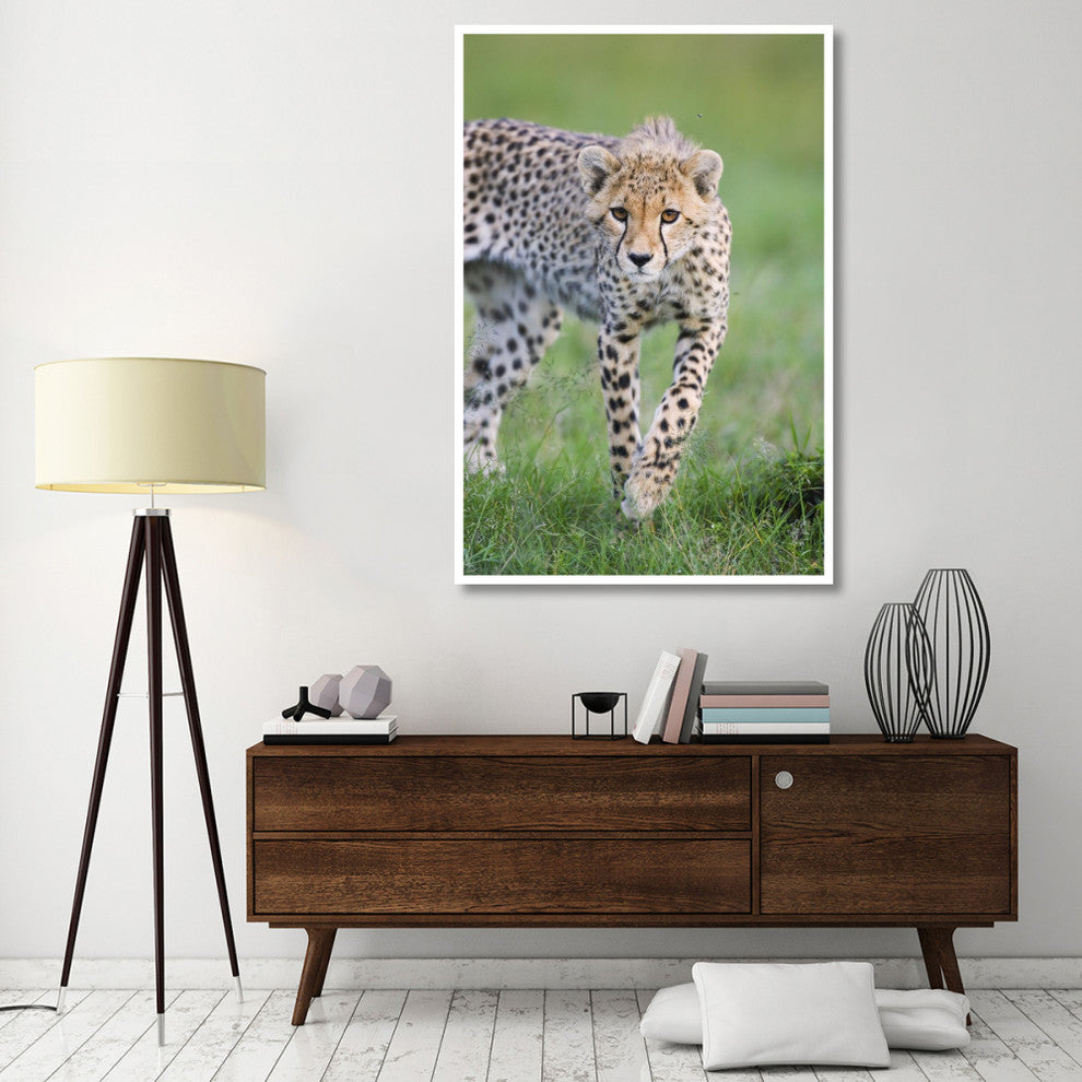 "Cheetah 6 month old cub, Masai Mara National Reserve, Kenya" Paper Art, 42"x62"