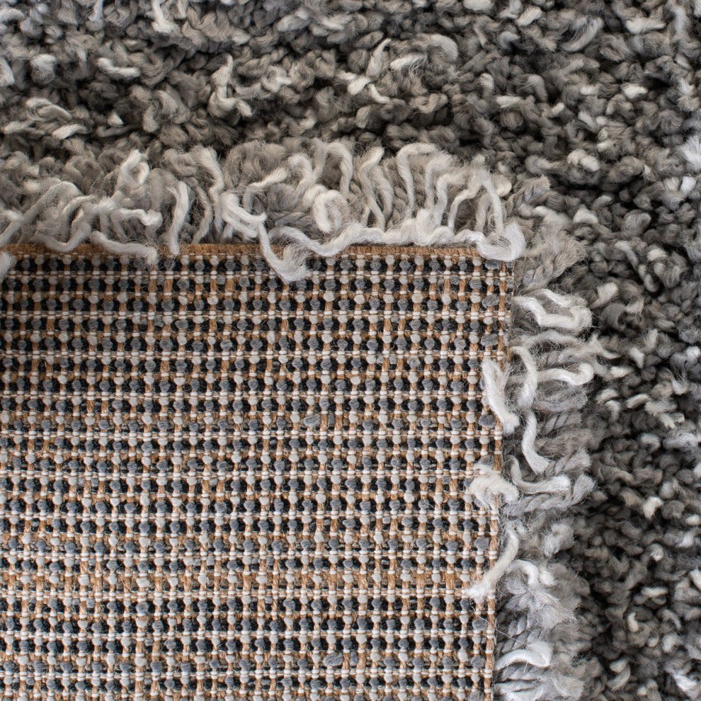 Safavieh Evolution Shag Area Rug, EVO520, Gray, 2'7"x5'